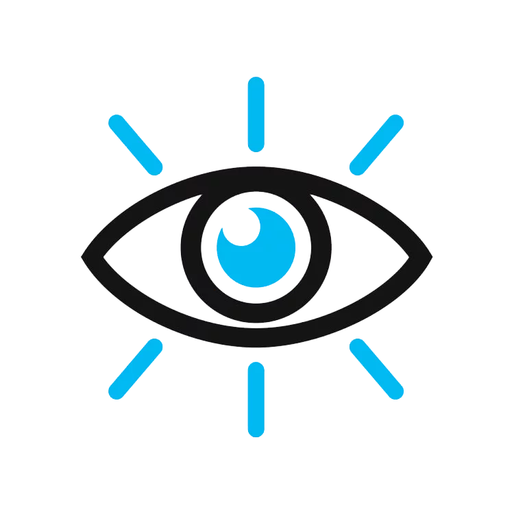1. Vision