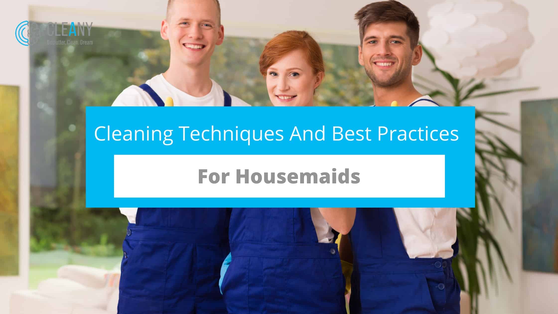 Cleaning Techniques And Best Practices For Housemaids