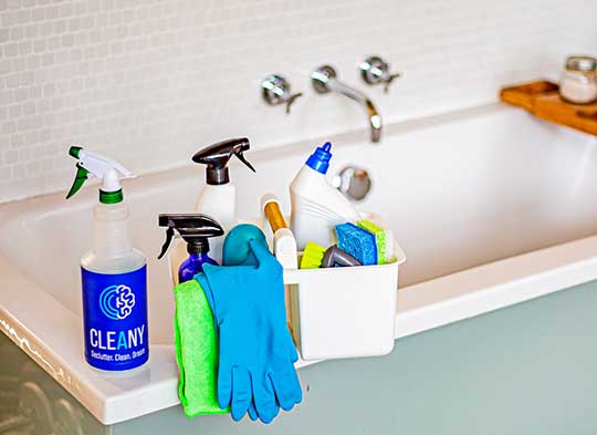 Cleaning Services in Pitt Meadows