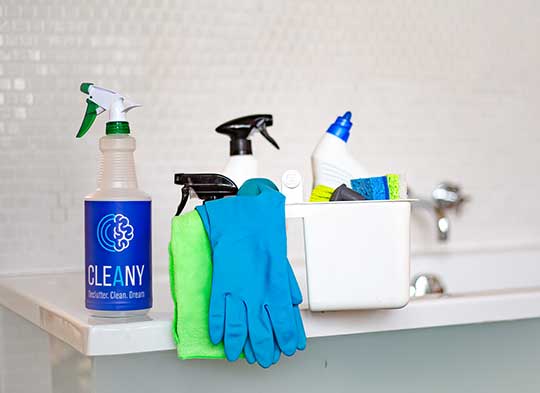 Cleaning Services in Cloverdale