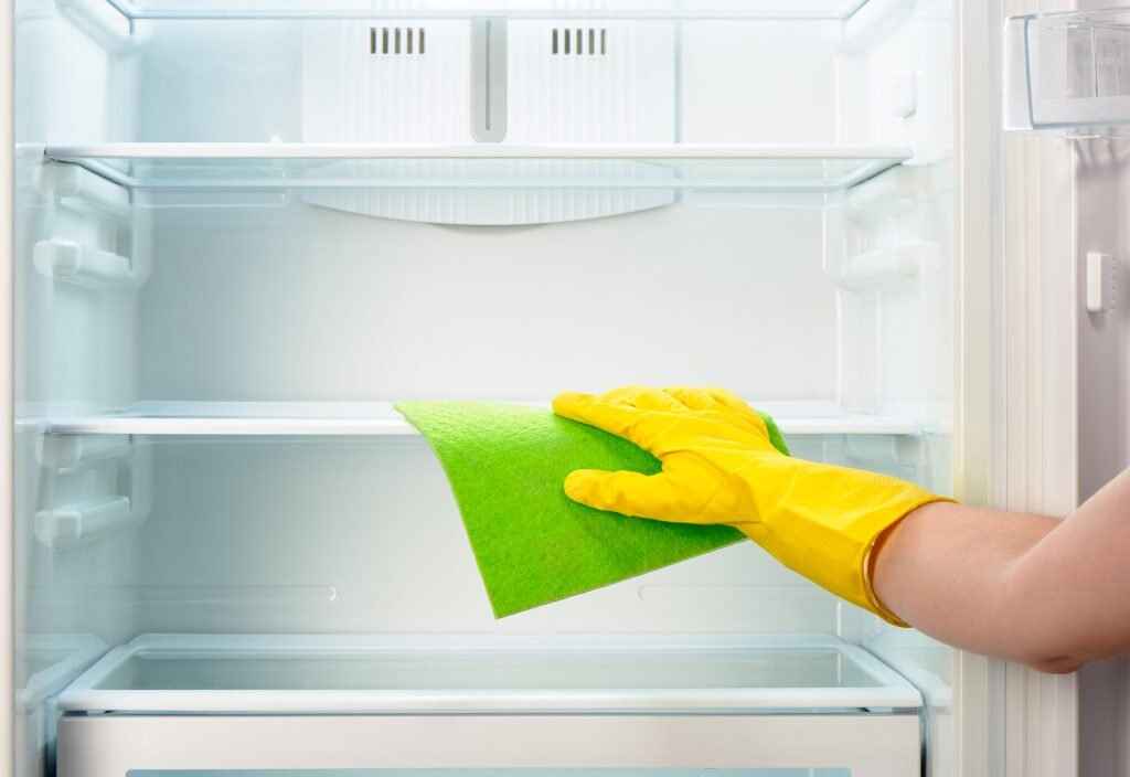 fridge-cleaning-1024x704 (1)