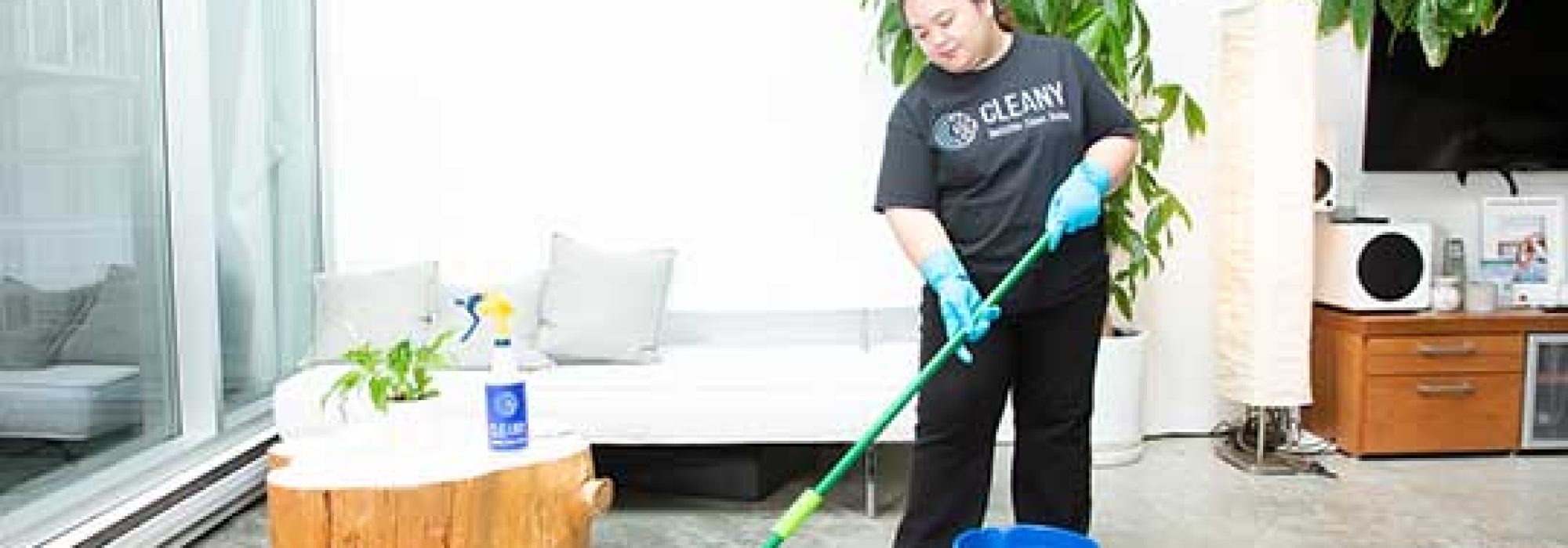 Cleaning Services in North Surrey
